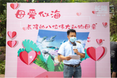 母爱似海——珠海长隆的八位伟大动物母亲