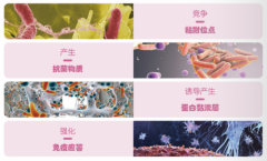 贵族益生菌CECT5716，助力母乳喂养，给宝宝更多保护！